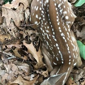 Meet your Posher, Roberto